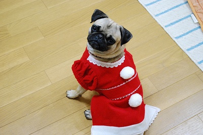 12-7santa (3).jpg