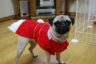 12-7santa (4).jpg